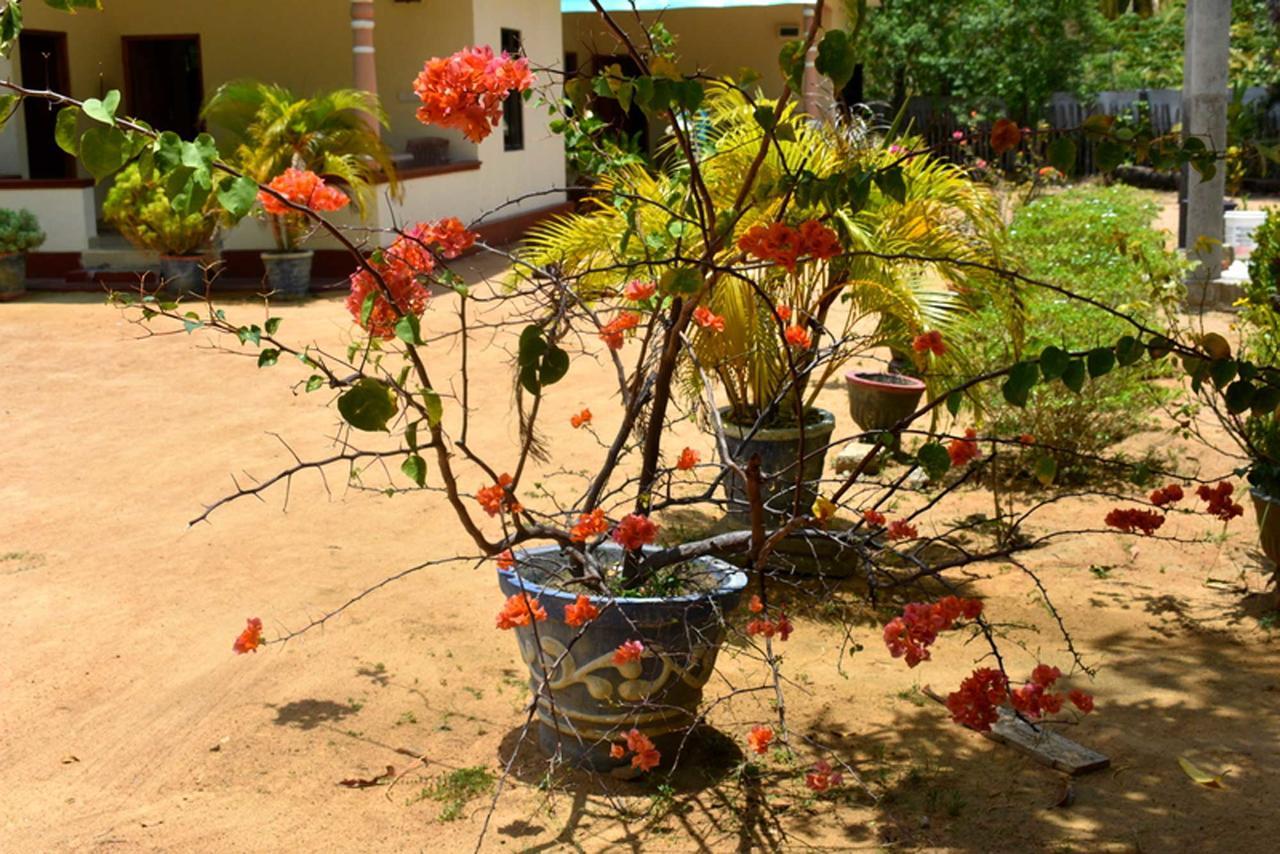 Yaswi Guest House Passikudah Exterior photo